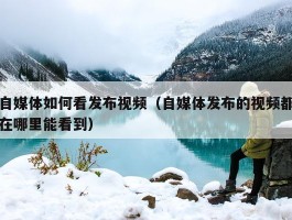 自媒体如何看发布视频（自媒体发布的视频都在哪里能看到）